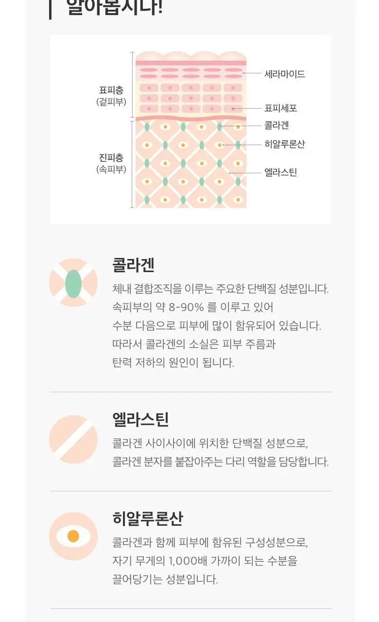 [콜라겐+엘라스틴] CJ 이너비 콜렉티브콜라겐 42정 (14일분) 상세페이지 19